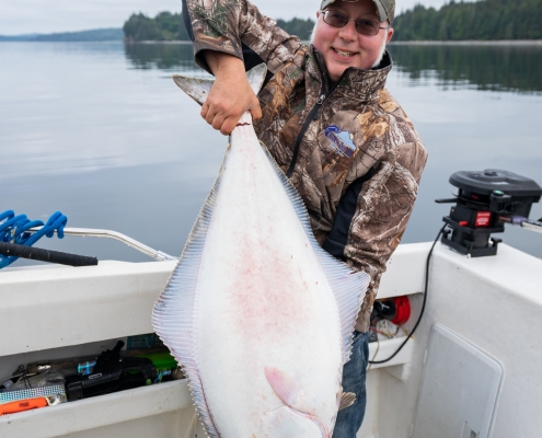 Halibut catch from Winter Harbour Fishing Charters