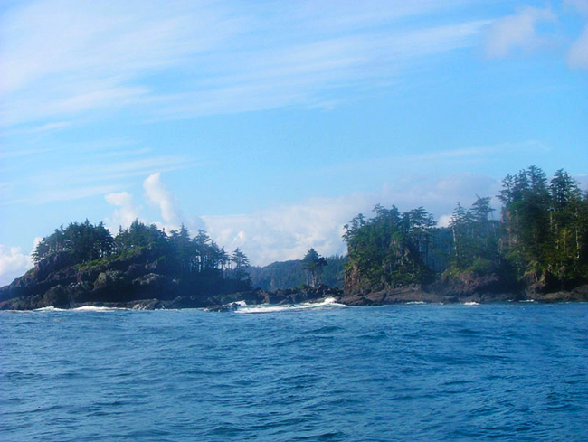 Rugged North Vancouver Island coast